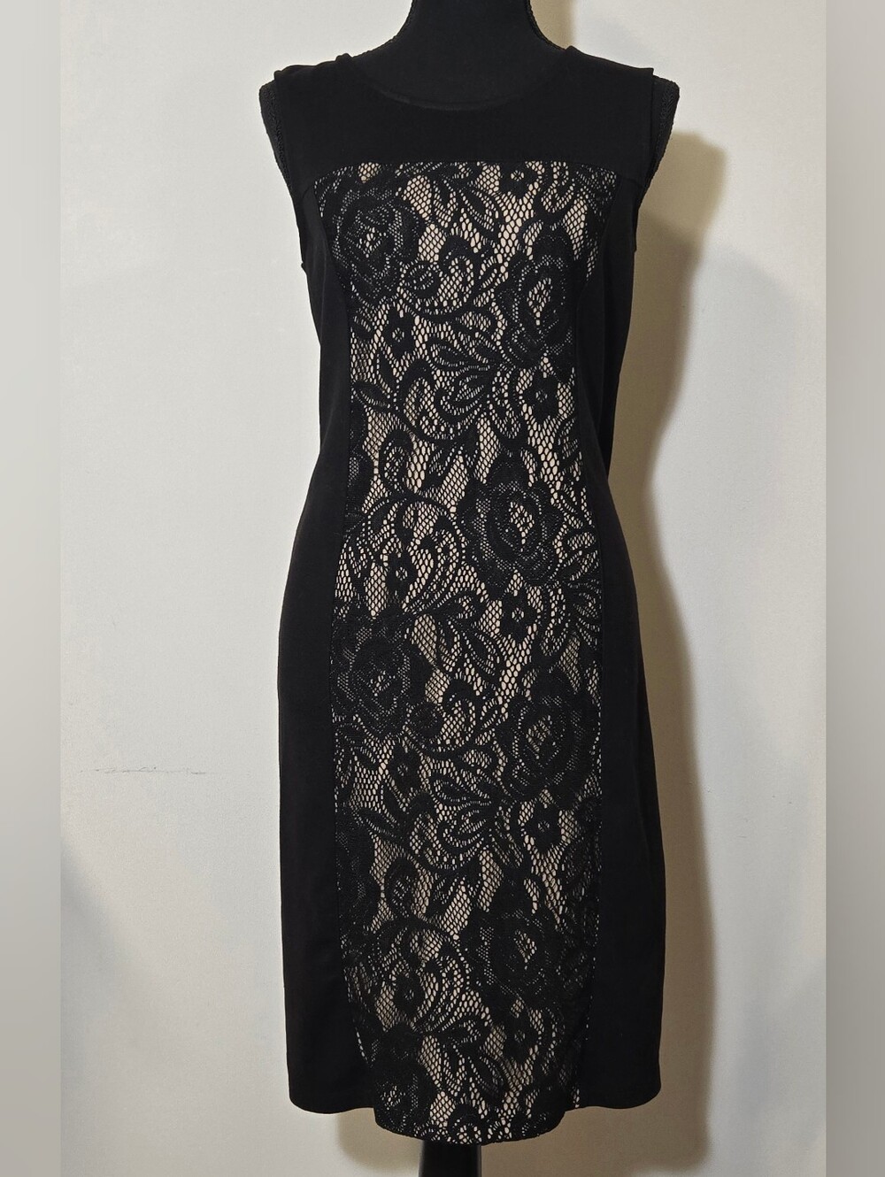 Stunning Black Lace Panel Sheath Sleeveless Dress